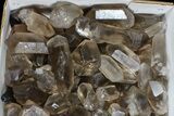 Lot: Lbs Smoky Quartz Crystals (-) - Brazil #77821-1